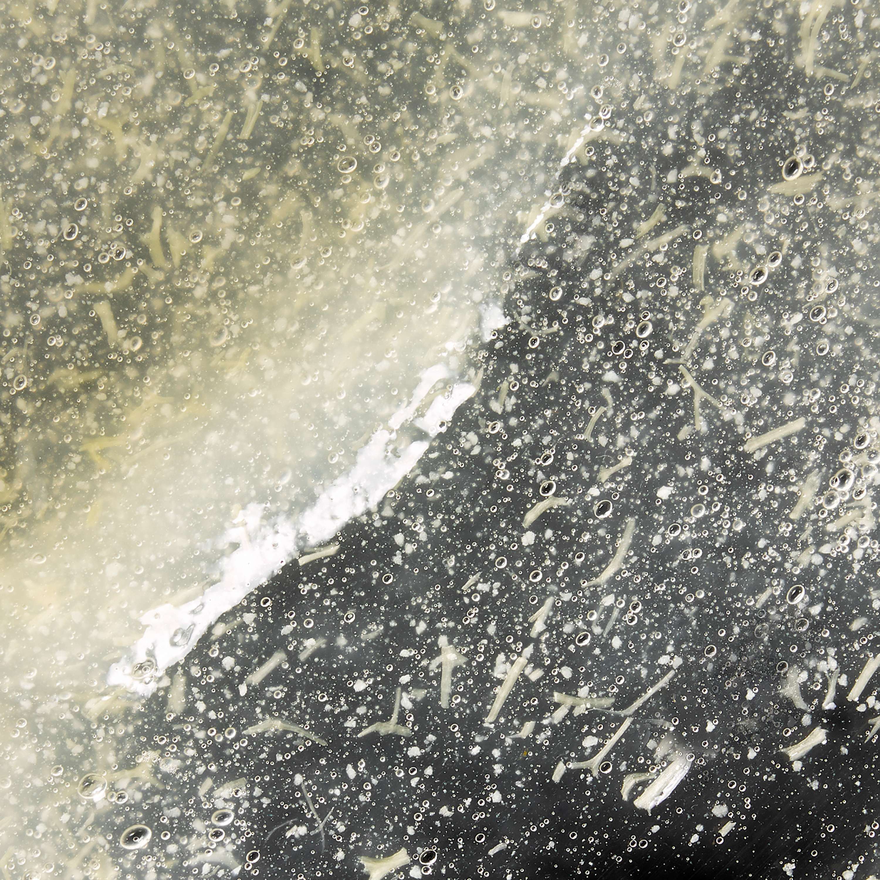 Gentle Buffing Gelée