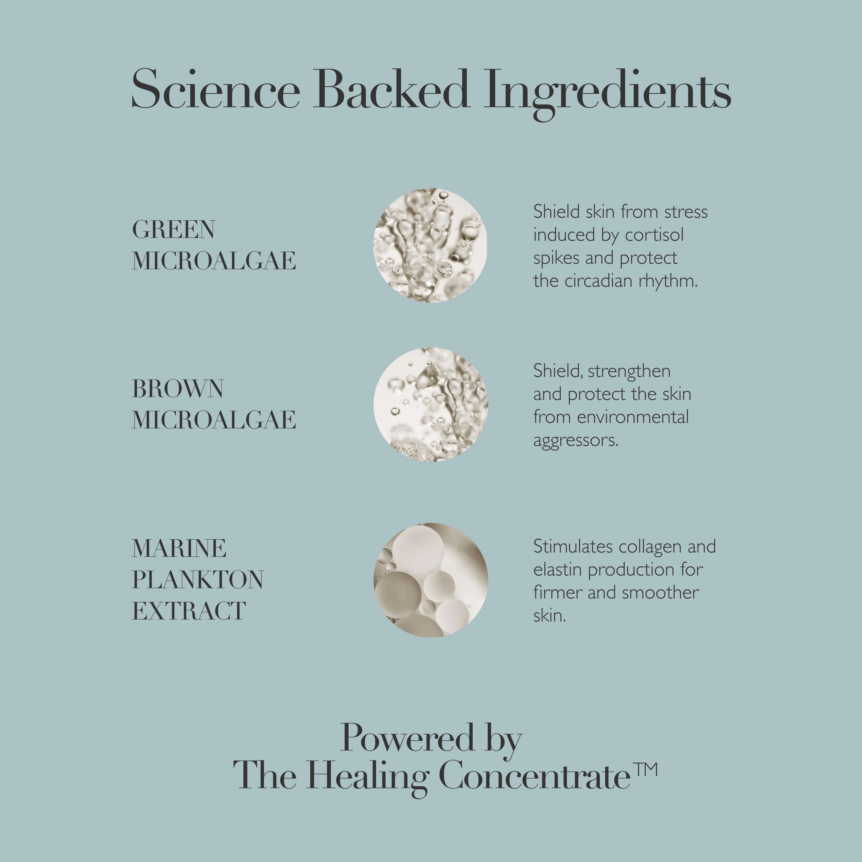 Cushioning Day Cream