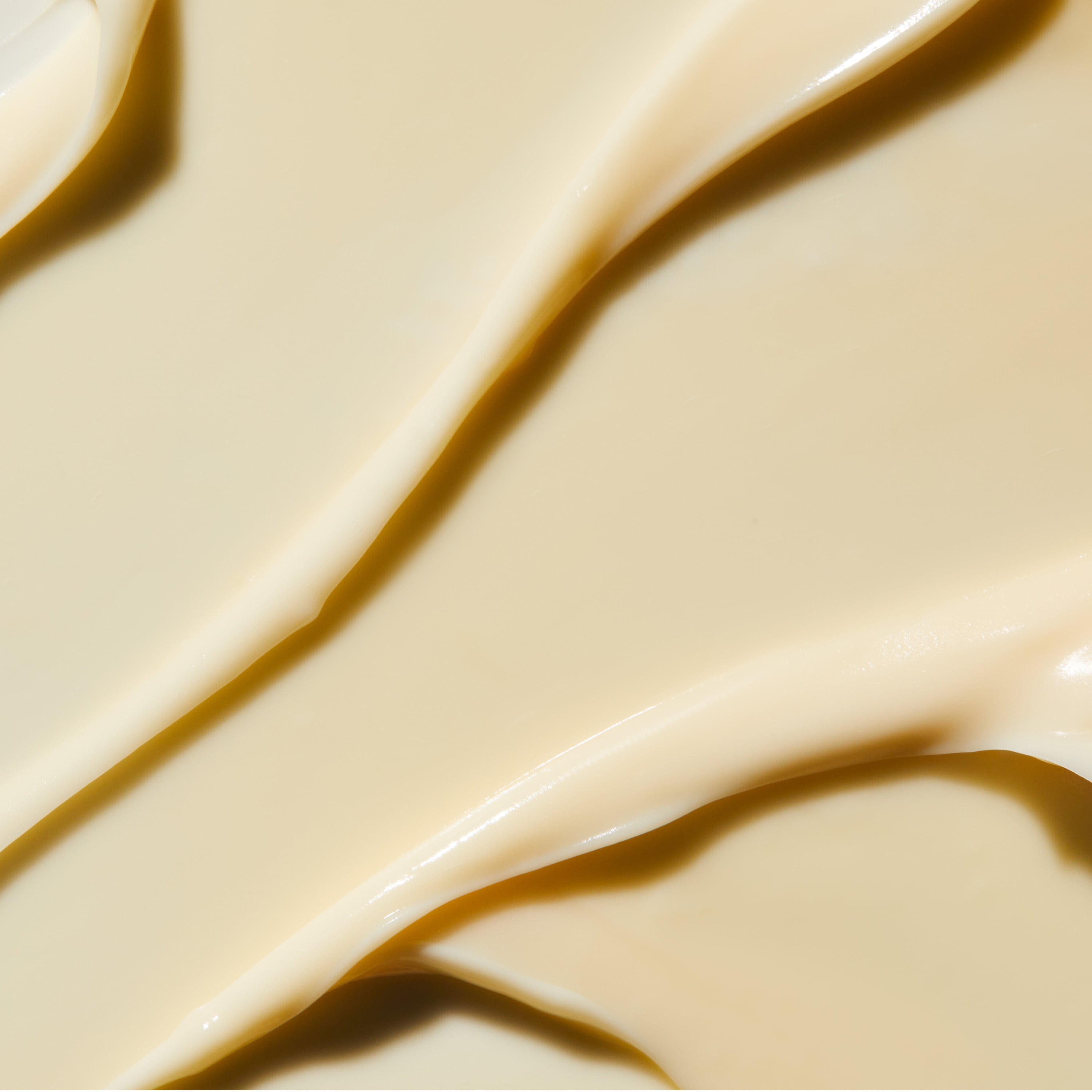 Rejuvenating Night Cream Mini